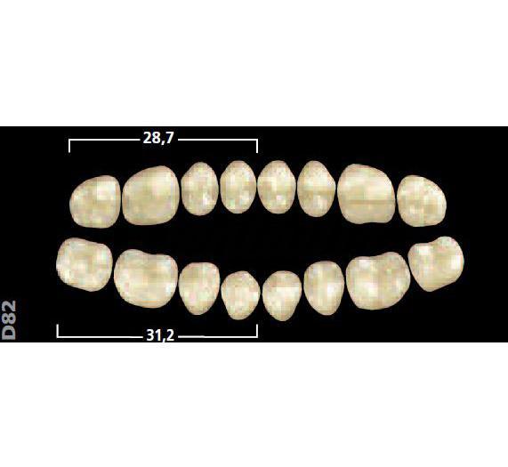 Dents acryliques Gnathostar postérieures inférieures D84