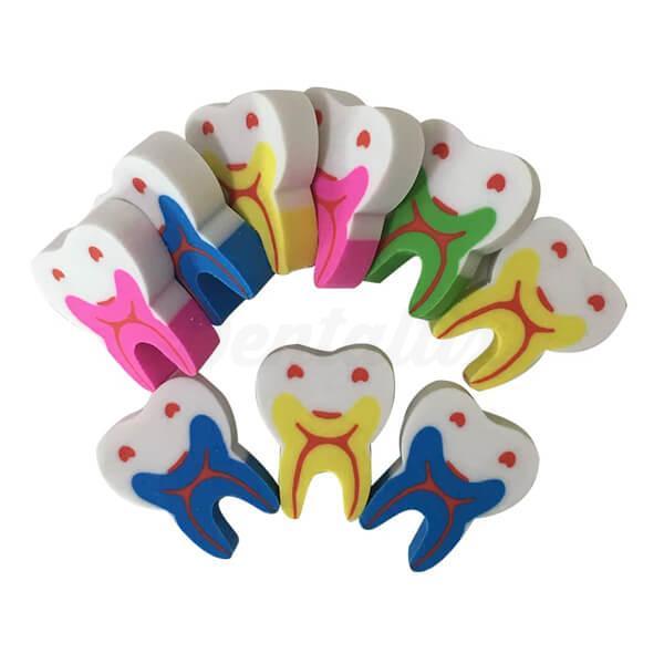 Gommes en forme de molaire (50 pcs)