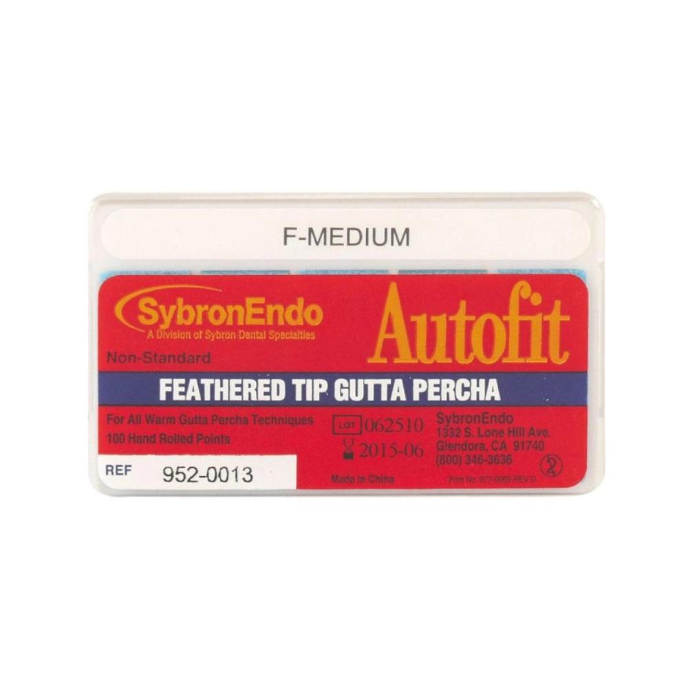 System B Gutta Percha points FM 100 pcs