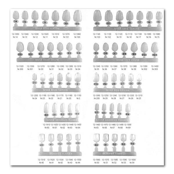 Polycarbonate Crowns - incisives latérales