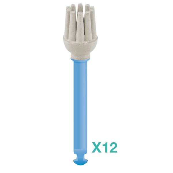 Polissoirs Polish Hd Brossette (12)