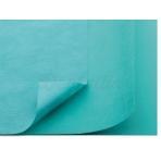 FOLIODRAPE PROTECT FENESTRÉ ADHÉSIF TAILLES (45 x 75 cm) (boîte de 65) JETABLES