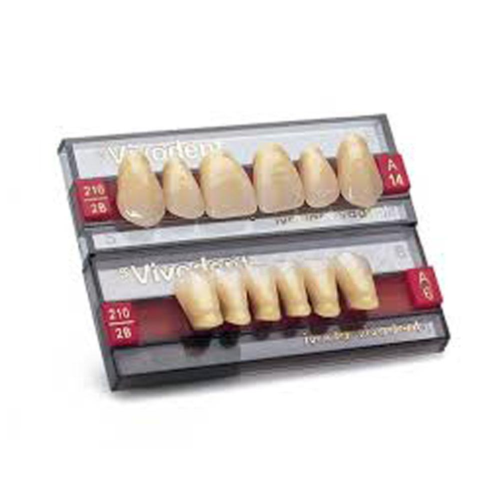 SR Vivodent PE dents antérieures supérieures
