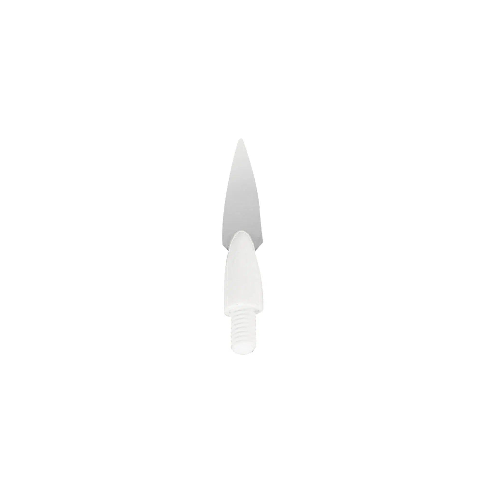 Spatule à modeler la céramique Asa Dental flexible Type 2