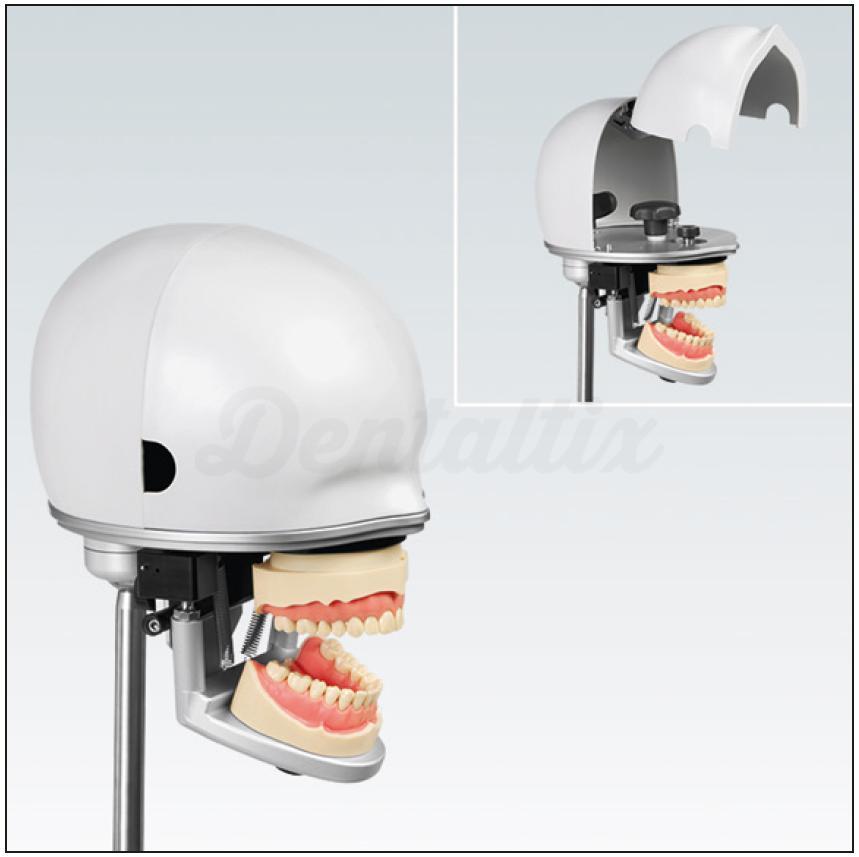 PK2: fantoomhoofdmodel