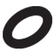 O-Ring Klein