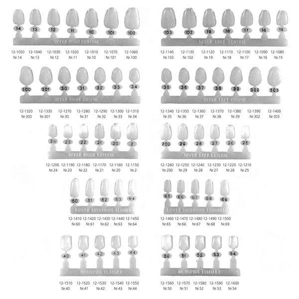 Polycarbonate Crowns incisives centrales