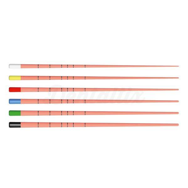 Embouts Gutta Percha avec 4% de Conicité (60 pcs)