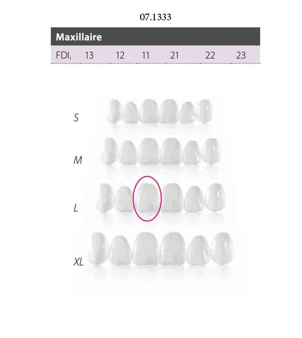 Facettes Componeer Upper L Enamel 60023134