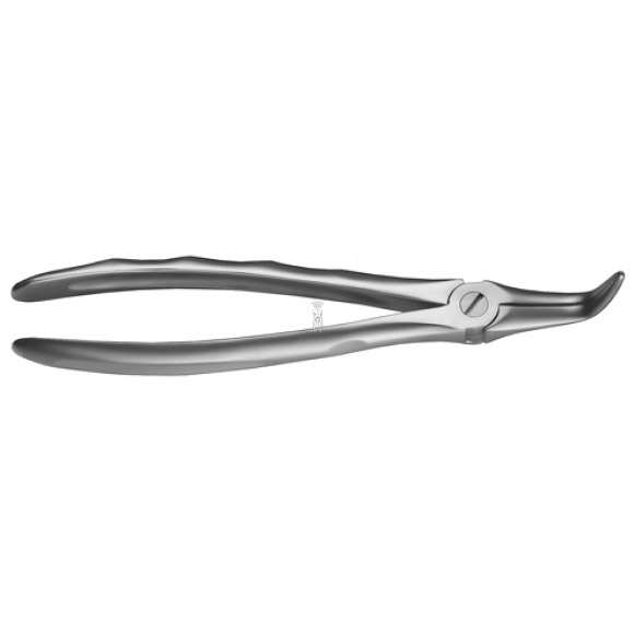 Tang Restes Radiculaires Mandibulaires