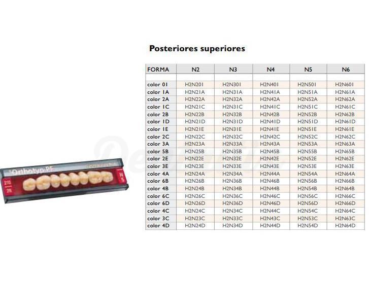 SR Orthotyp S PE bovenzijtanden N3