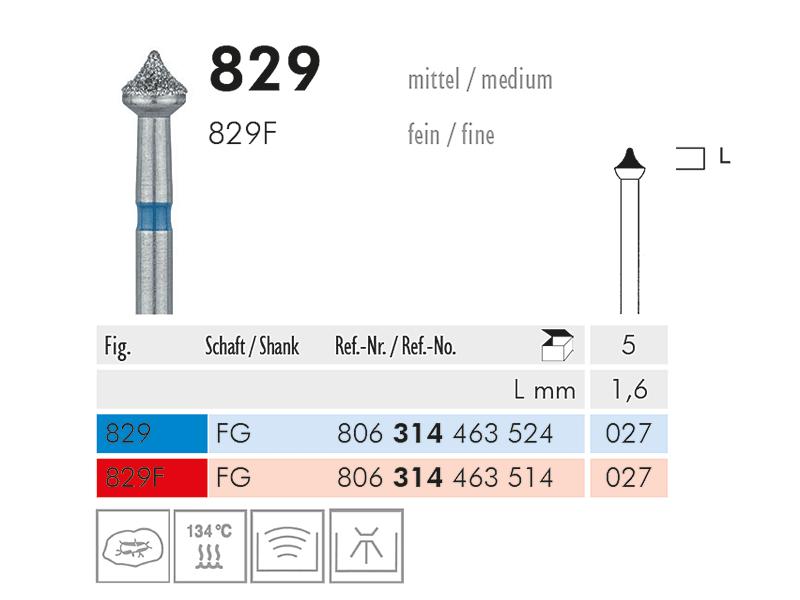 829 diamantinstrument