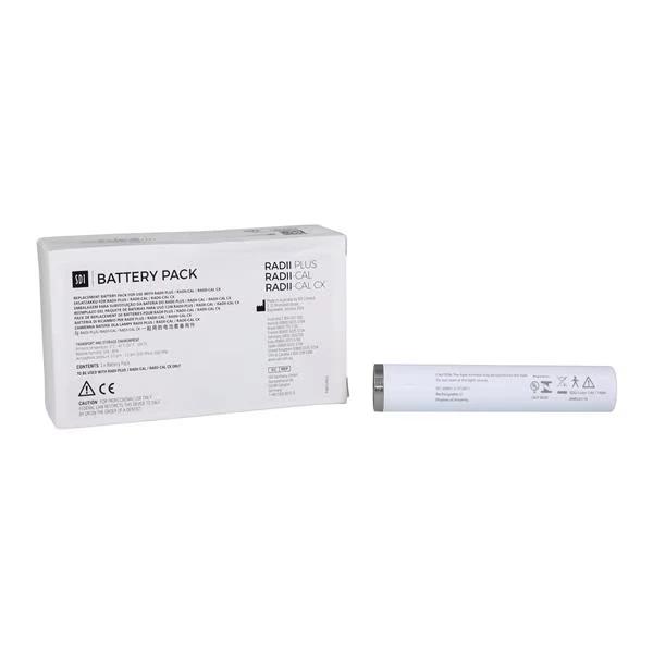 Radii Plus Replacement Batt.