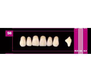 COSMO HXL dents antérieures supérieures S4