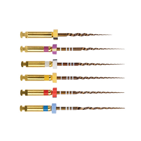 PROTAPER GOLD™ ASSORTIMENT (6)