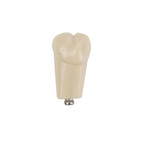 TAND VOOR MODEL FRASACO ANKA-4