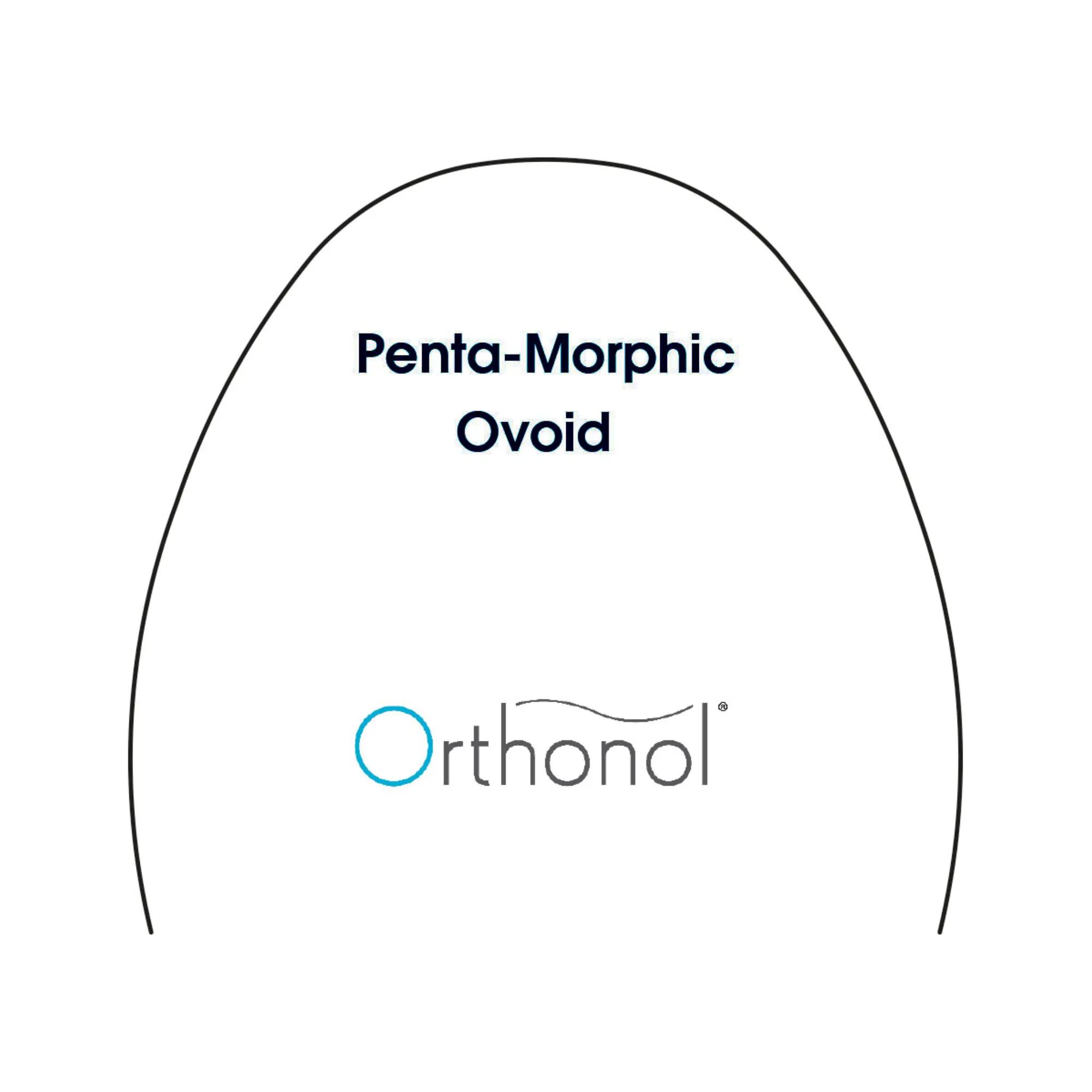 Arch Biolastic Penta-Morphic Universal Ovoid (10)