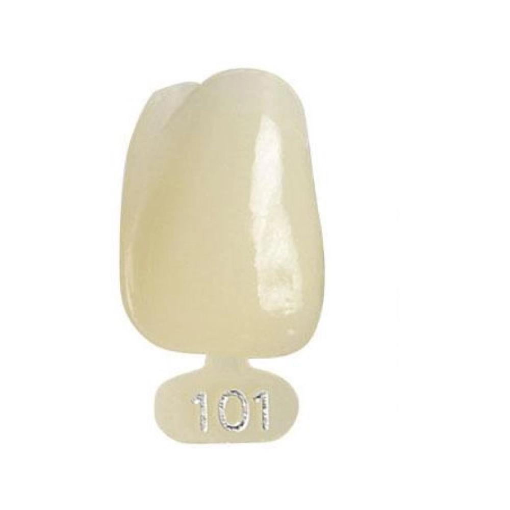 P.D. couronnes polycarb. no.101 5 pcs