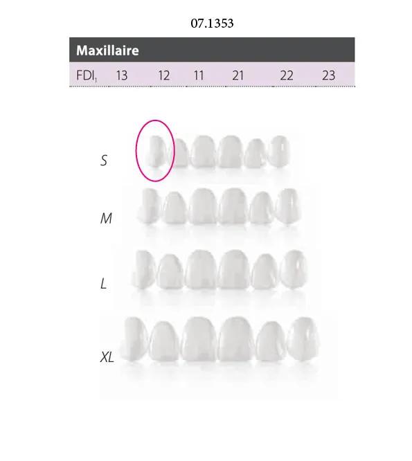 Facettes Componeer Superior S En.Univ60023160