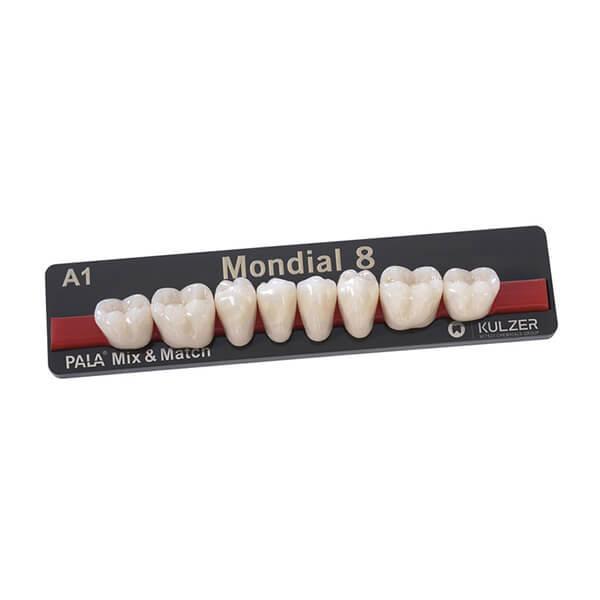 Dents postérieures inférieures Mondial 37L