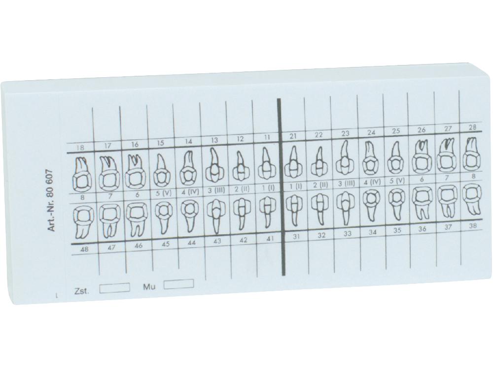 Schéma dentaire blanc SK 100pcs