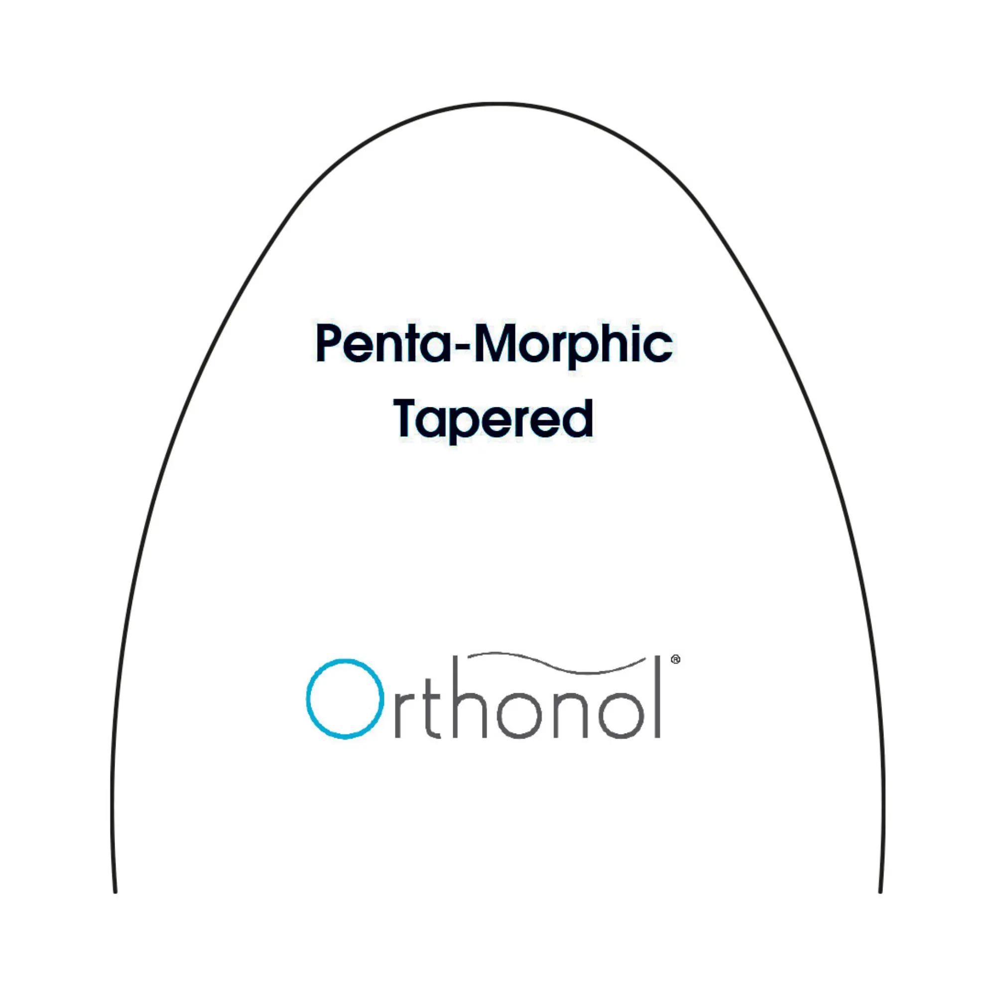 Arch Biolastic Penta-Morphic UniversalTapered (10)