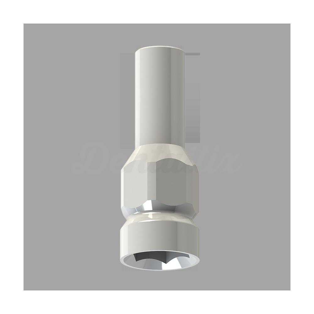 Cylindre de pilier provisoire Implants de pilier simple Implants Connexion externe Plate-forme régulière