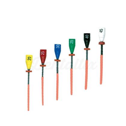 Guttamaster Obturators Assot. 020-045