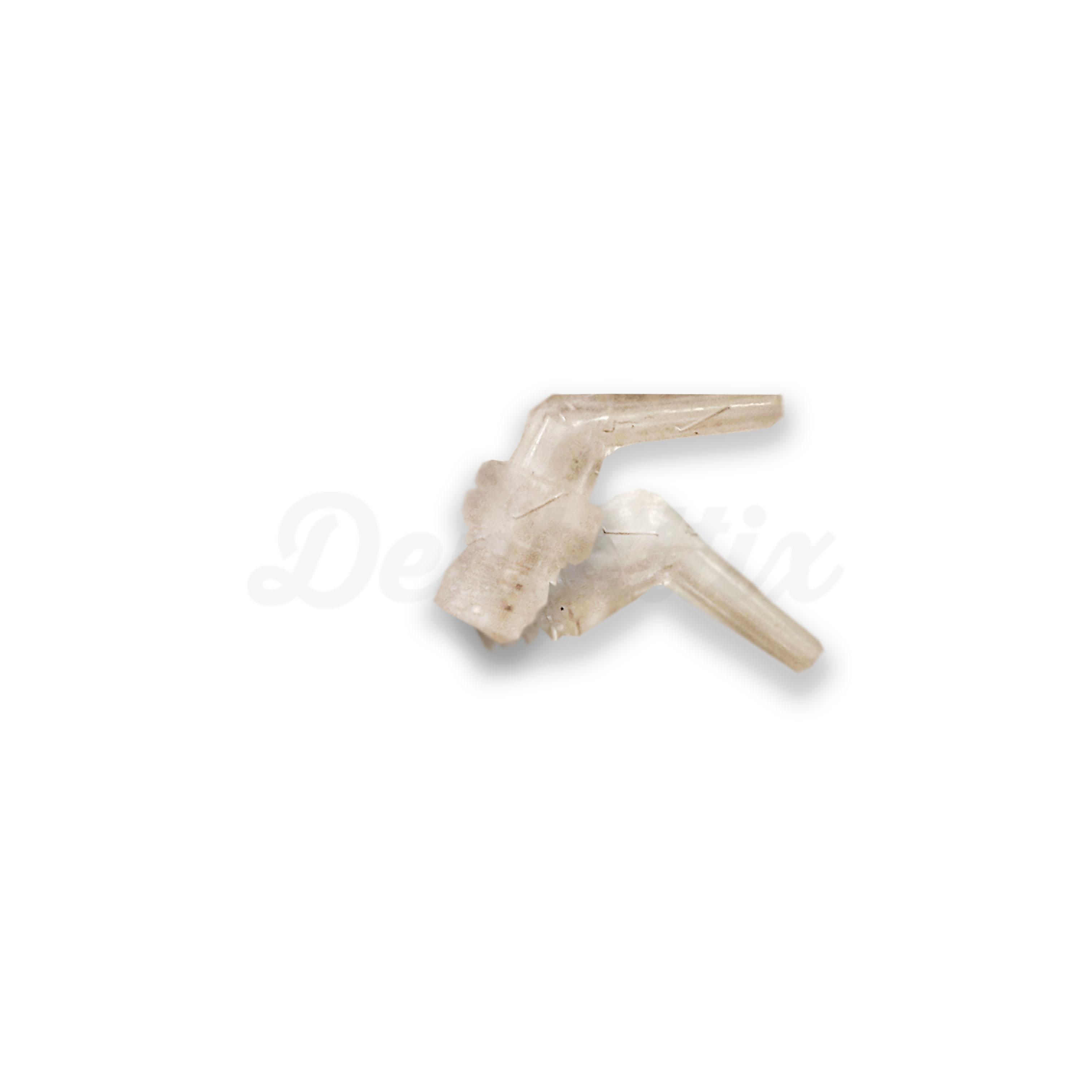 Intraoral Delivery Tip Express 96-R.71462