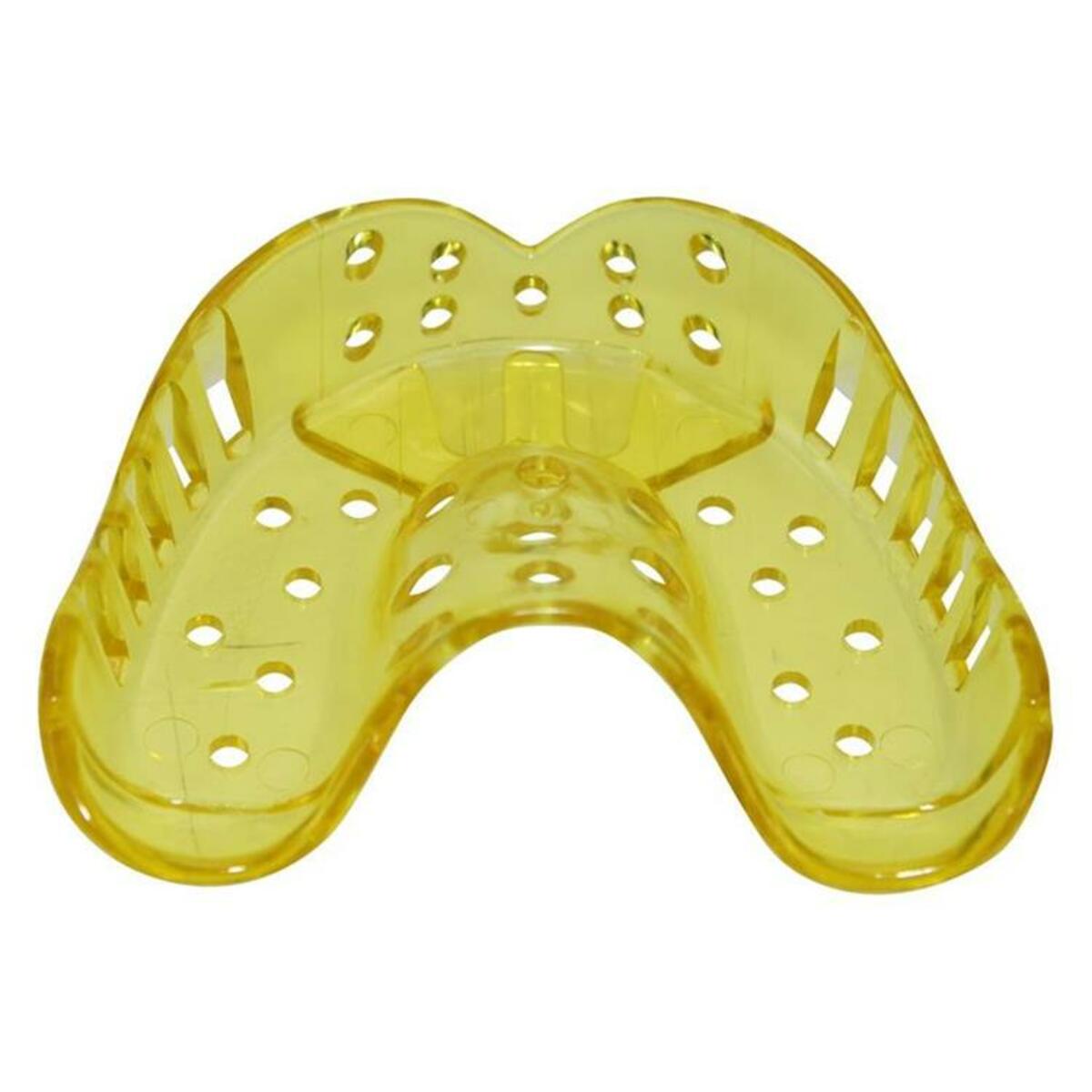 Ash Polytray porte-empreintes perforés pour denté supérieur
