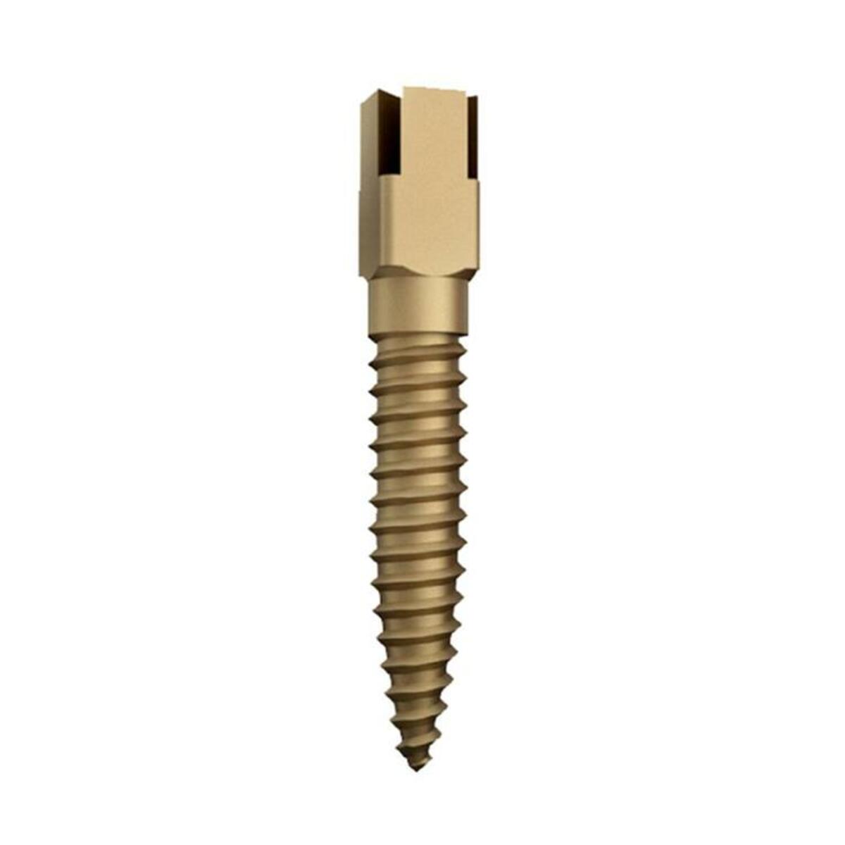 Screw Posts Medium 4