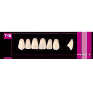 COSMO HXL dents antérieures supérieures S8