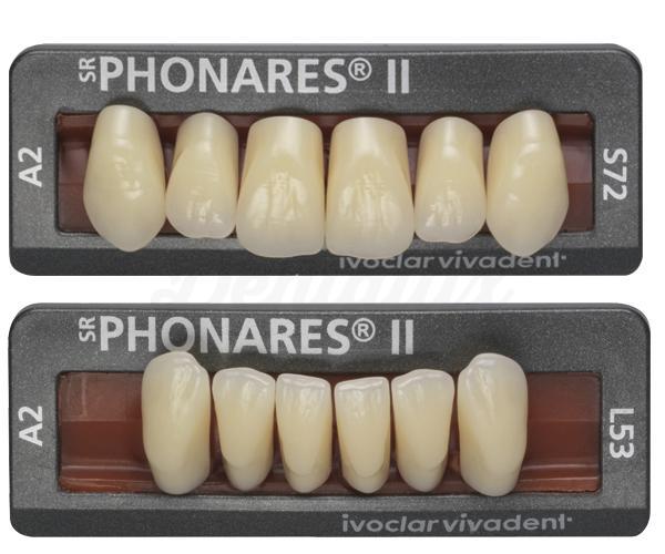 SR Phonares II : Dents en résine antérieures inférieures (6 unités)