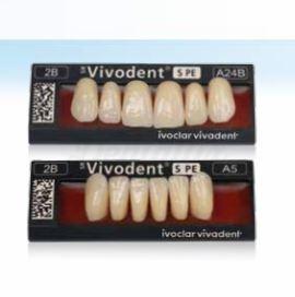 A54 dents antérieures supérieures Vivodent