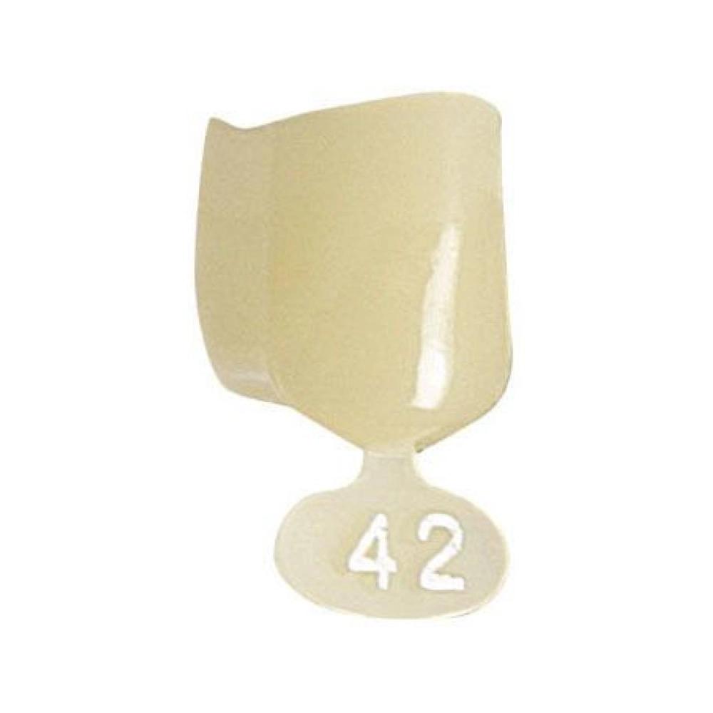 P.D. couronnes polycarb. no.42 5 pcs