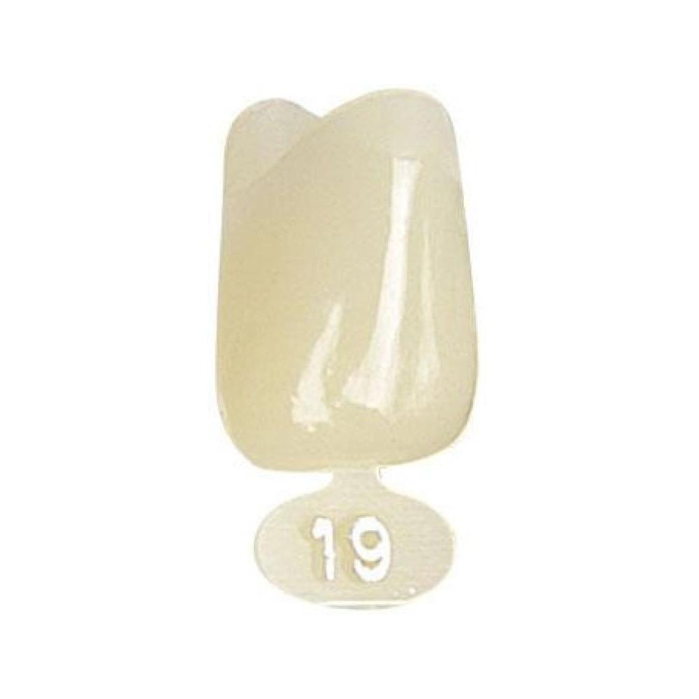 P.D. couronnes polycarb. no.19 5 pcs