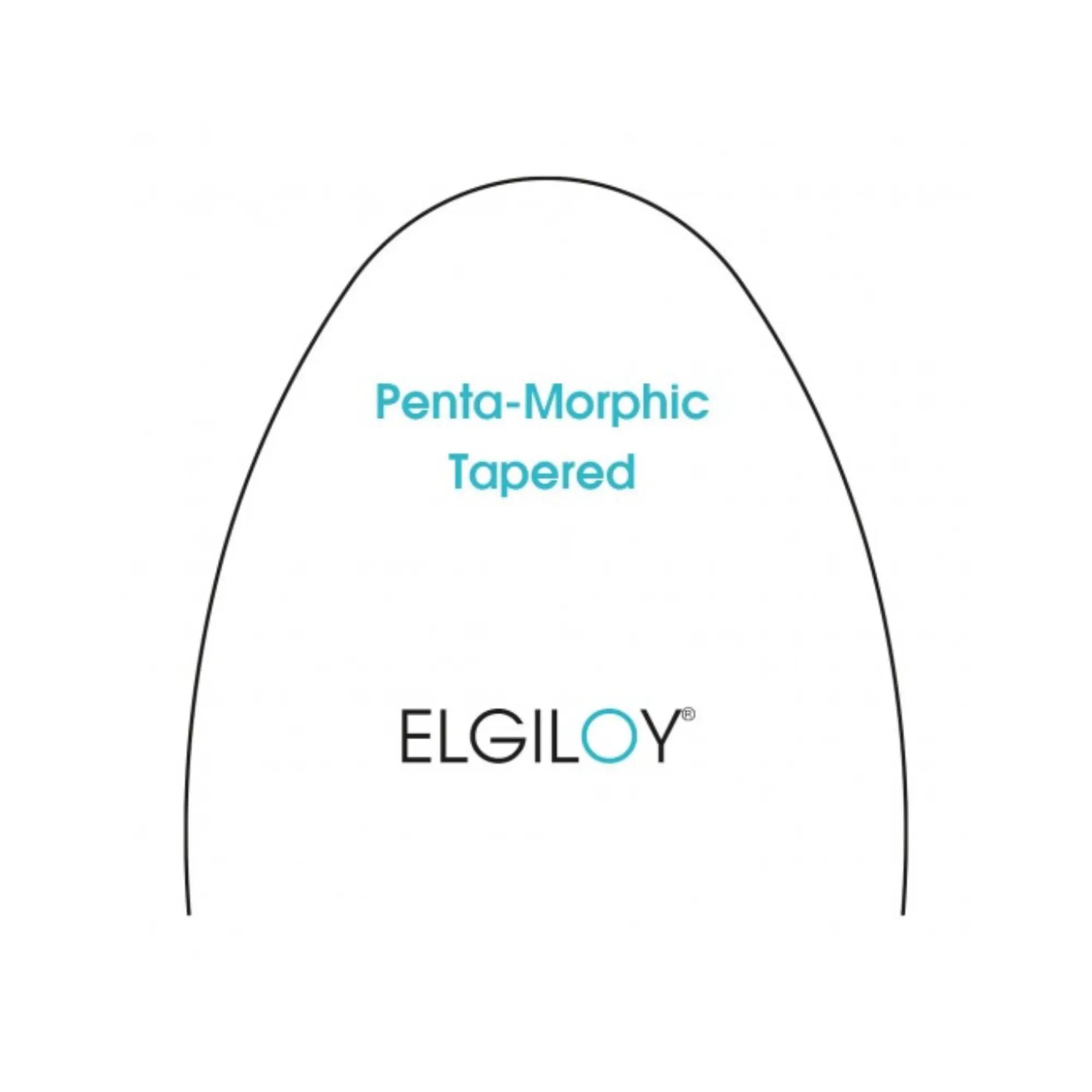 Arch Elgiloy Jaune Penta Tapered .016x.022 (10)