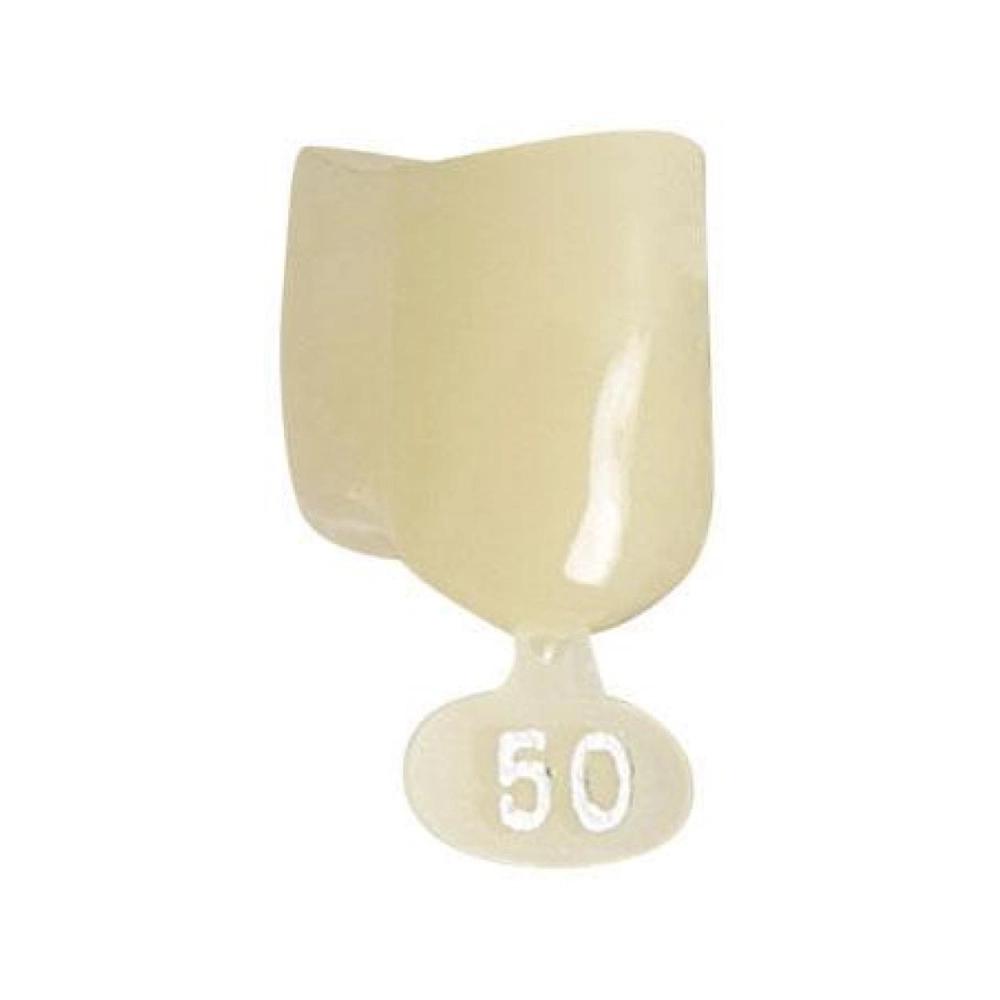 P.D. couronnes polycarb. no.50 5 pcs