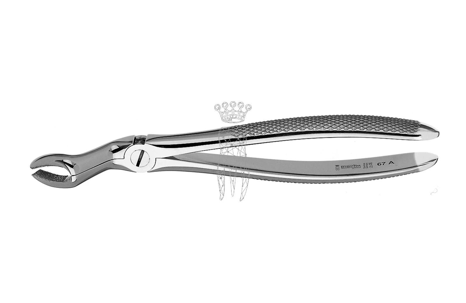 Davier Forme Anglaise    M2067A