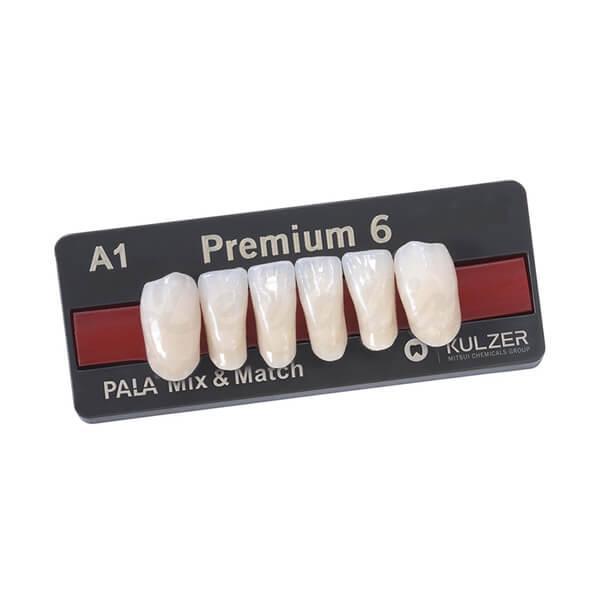 Premium dents antérieures inférieures L16