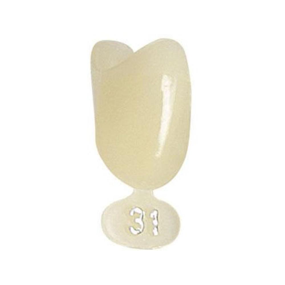 P.D. couronnes polycarb. no.31 5 pcs