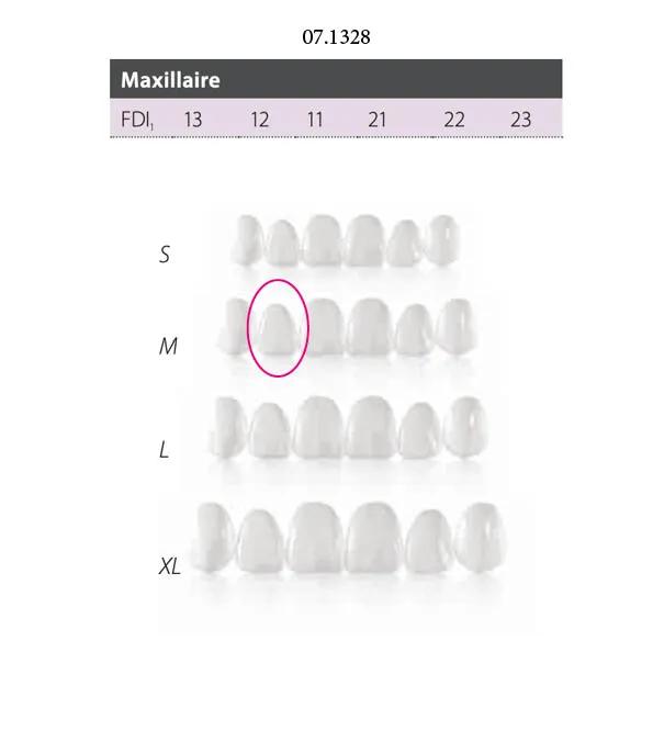 Facettes Componeer Upper M Enamel W 60023129
