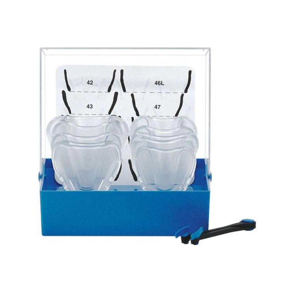 Border-Lock dentés haut transp. ass. 8 pcs