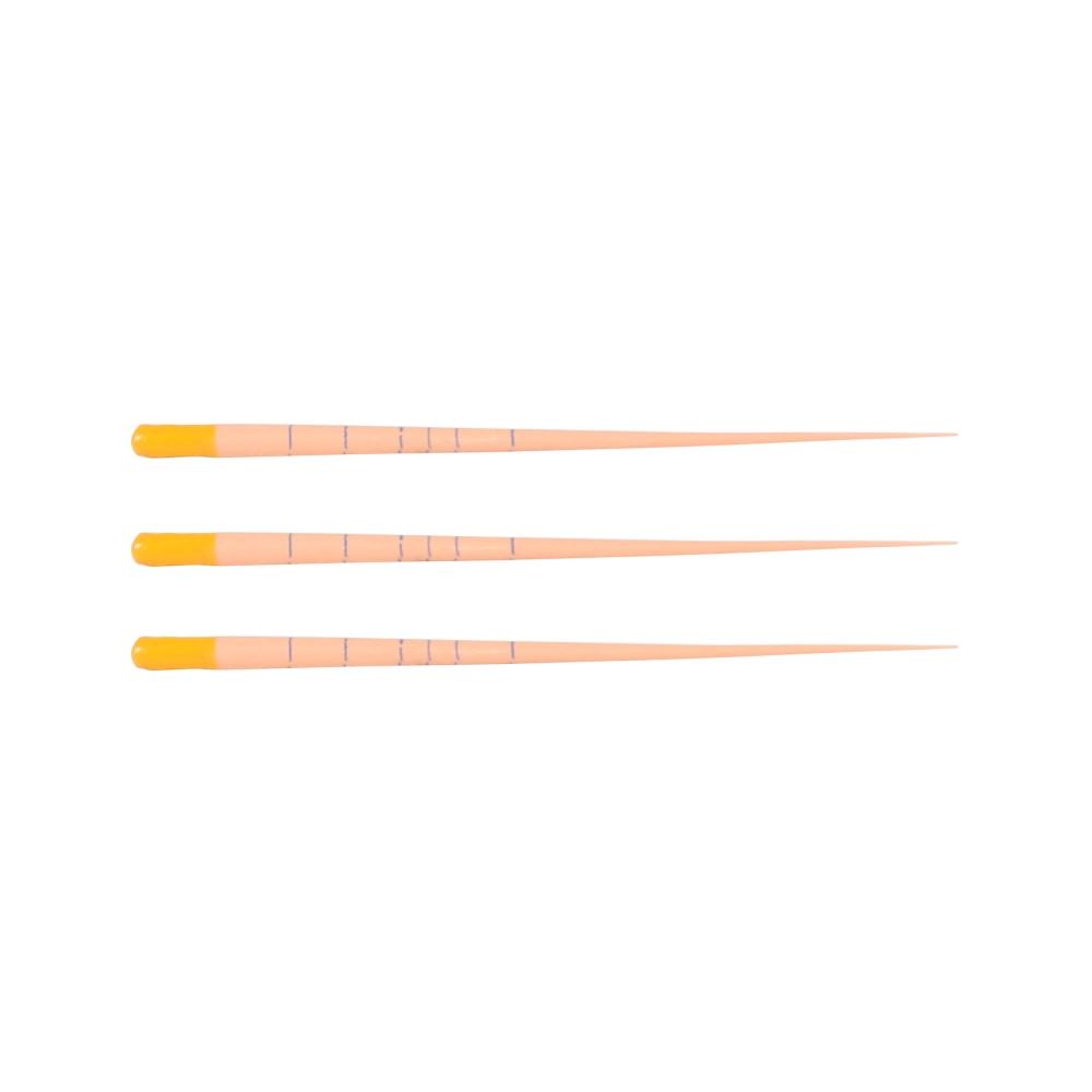 Dia-ProISO Plus Pointes de Gutta Percha .04 - ISO 25