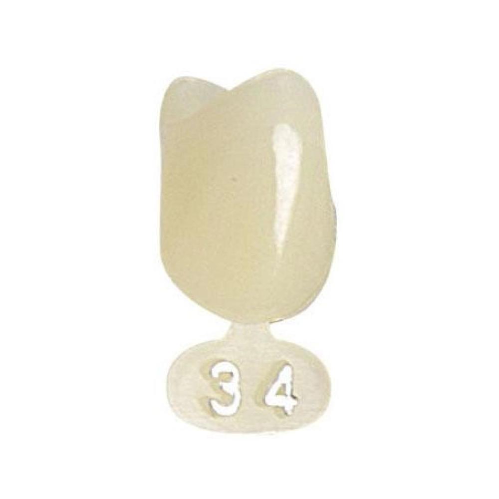 P.D. couronnes polycarb. no.34 5 pcs